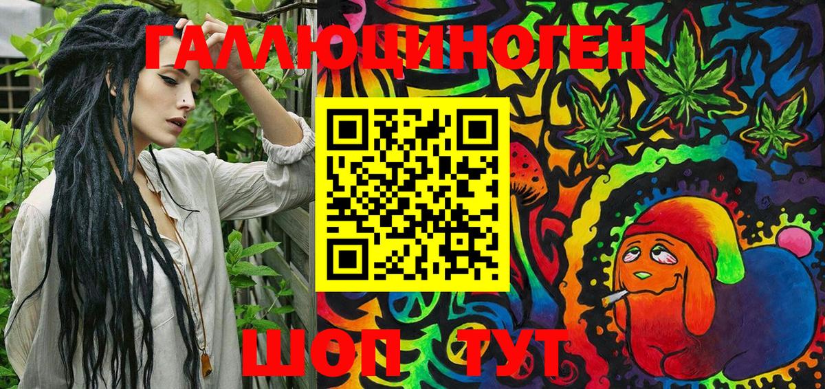 Галлюциногенные грибы Psilocybine cubensis Сокол