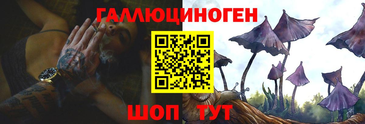 Сокол  Галлюциногенные грибы Psilocybine cubensis  Вход с VPN 
