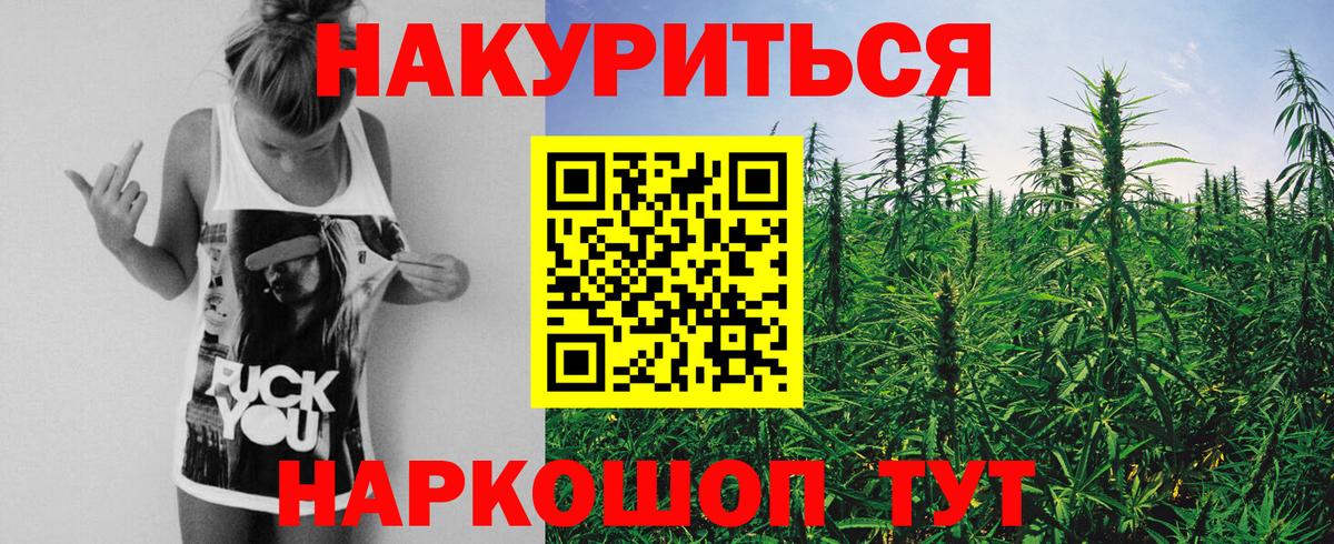 Конопля сатива Сокол